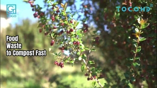 Compostiera per rifiuti alimentari da 50 kg. Compost 24 ore